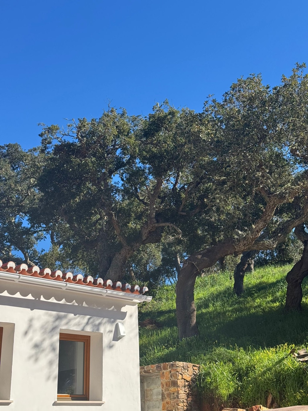 Casa da Cortiça – Außenansicht
